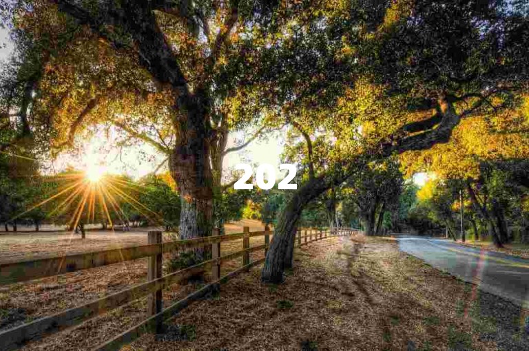 2025年拼多多互砍微信大群，免费入群享500人助力！