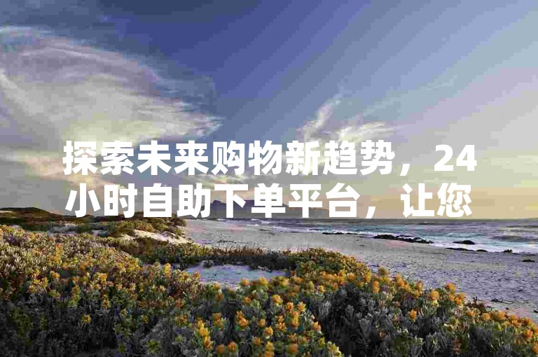 探索未来购物新趋势，24小时自助下单平台，让您随时随地享受轻松购物的乐趣！