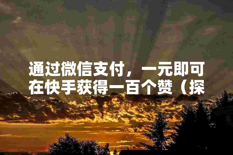 通过微信支付，一元即可在快手获得一百个赞（探索快手点赞新策略，零成本轻松集百赞）。