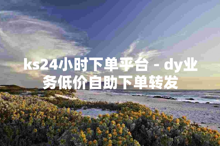 ks24小时下单平台 - dy业务低价自助下单转发