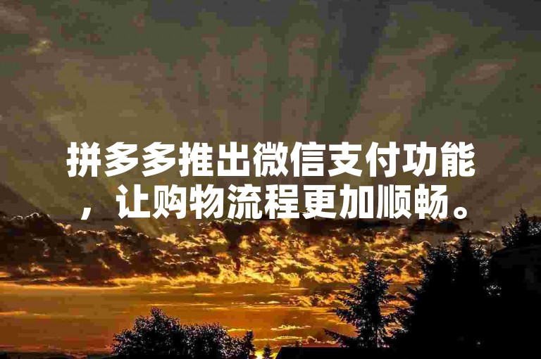 拼多多推出微信支付功能，让购物流程更加顺畅。
