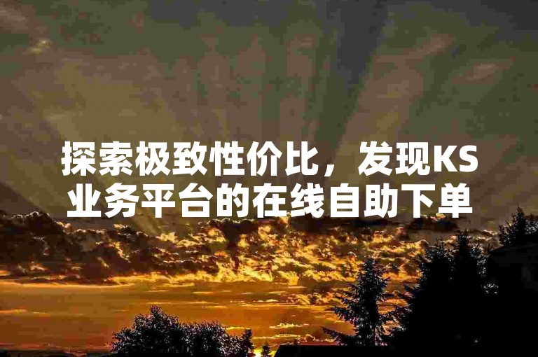 探索极致性价比，发现KS业务平台的在线自助下单新体验。