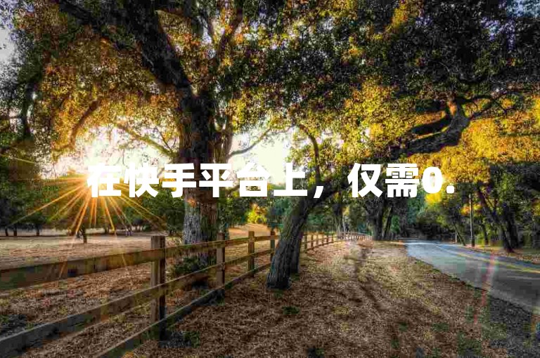 在快手平台上，仅需0.5元即可迅速获得100次秒到的曝光机会，极具性价比。