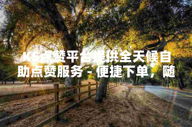KS点赞平台提供全天候自助点赞服务 - 便捷下单，随时获得点赞支持。
