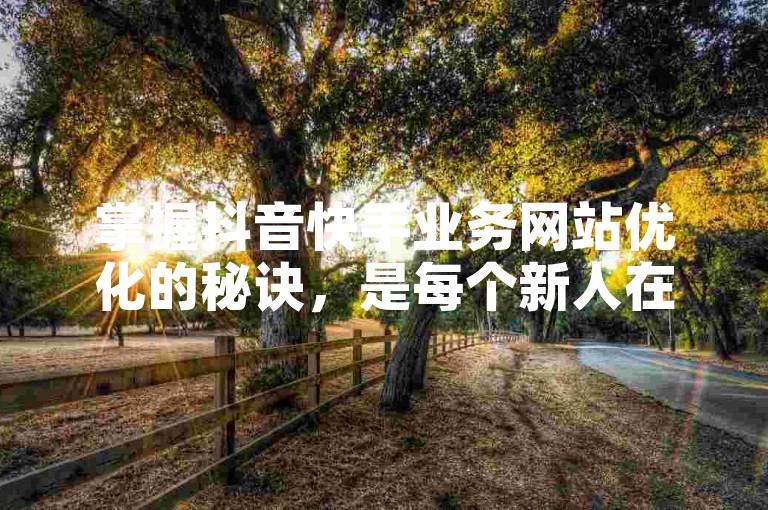 掌握抖音快手业务网站优化的秘诀，是每个新人在数字营销领域立足的关键！