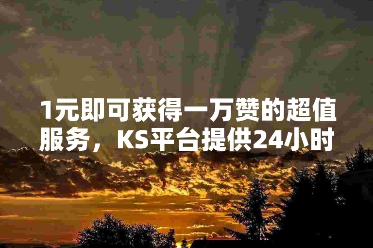 1元即可获得一万赞的超值服务，KS平台提供24小时不间断的低价秒单业务，快手用户专享的自助式低价业务软件。