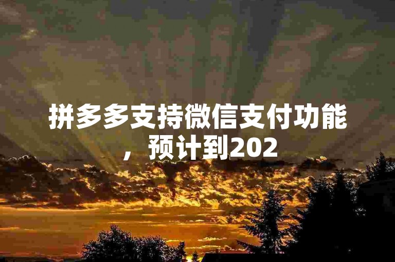 拼多多支持微信支付功能，预计到2025年将更加便捷。