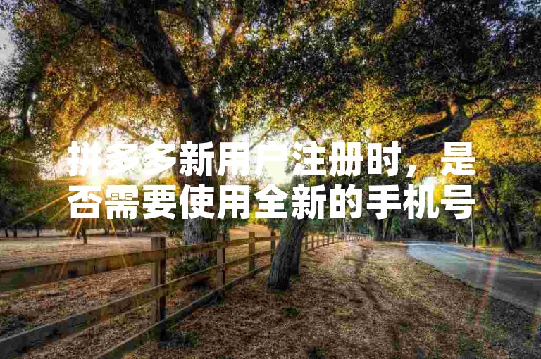 拼多多新用户注册时，是否需要使用全新的手机号进行登录呢？