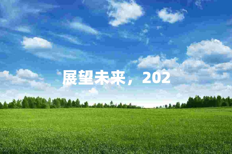 展望未来，2025年拼多多将深入分析所需人力以助力发展。