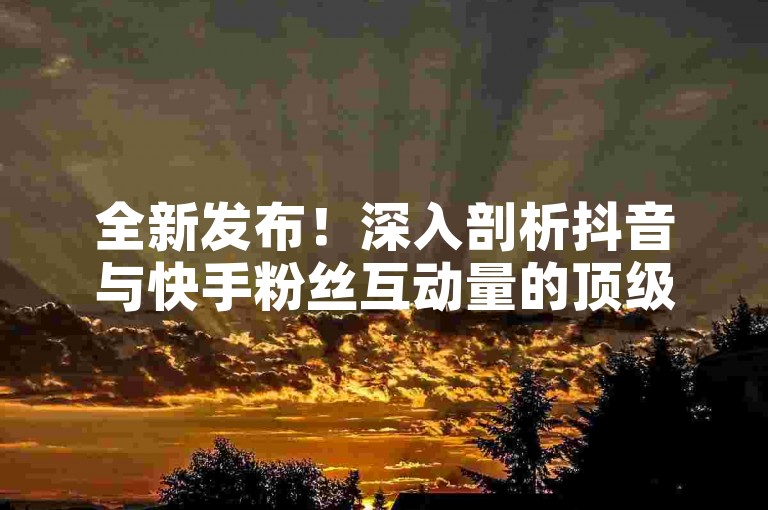 全新发布！深入剖析抖音与快手粉丝互动量的顶级平台指南。