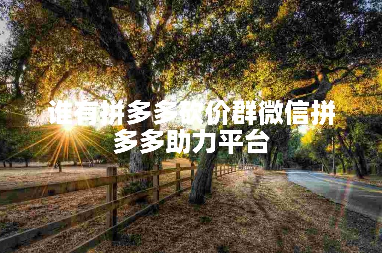 谁有拼多多砍价群微信拼多多助力平台