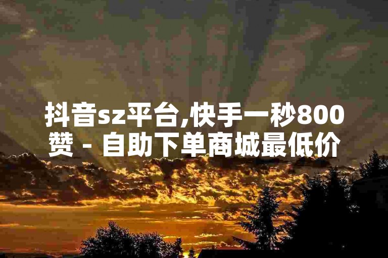 抖音sz平台,快手一秒800赞 - 自助下单商城最低价 - 抖音1毛1000个赞