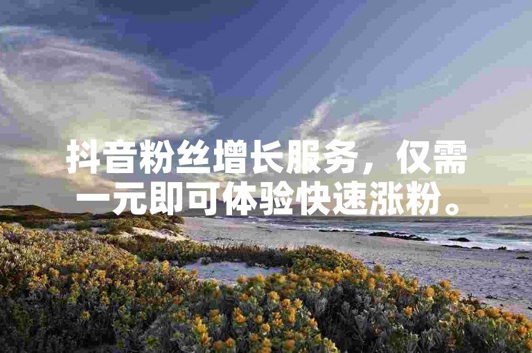 抖音粉丝增长服务，仅需一元即可体验快速涨粉。