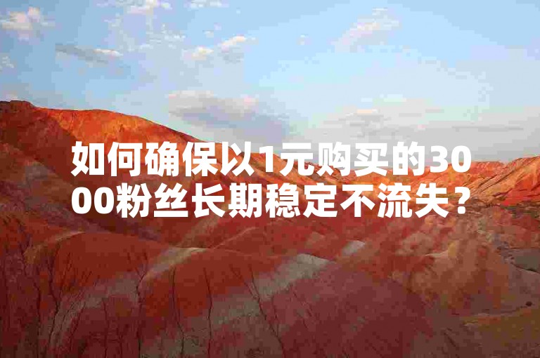 如何确保以1元购买的3000粉丝长期稳定不流失？