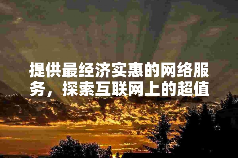 提供最经济实惠的网络服务，探索互联网上的超值选择。