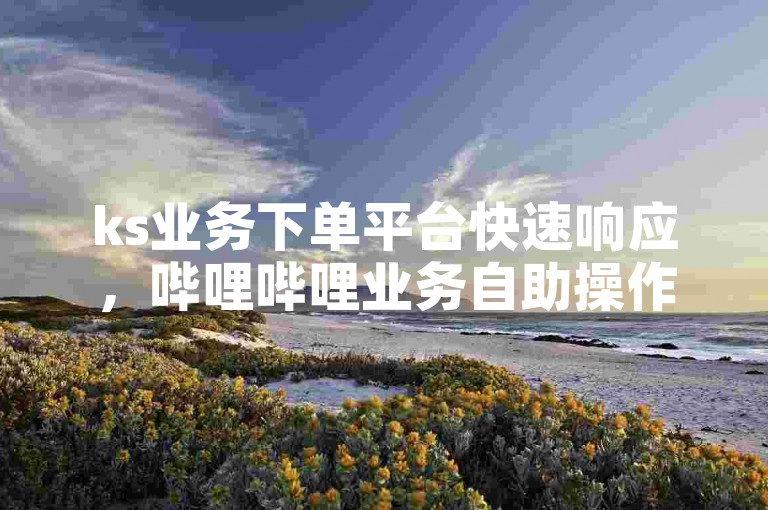 ks业务下单平台快速响应，哔哩哔哩业务自助操作便捷。