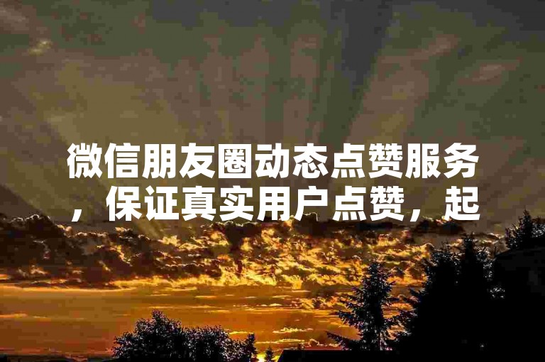 微信朋友圈动态点赞服务，保证真实用户点赞，起价仅需5个赞，快手粉丝增长套餐限时特惠，在线自助购买平台提供全天候不间断服务，确保全网最实惠的价格。
