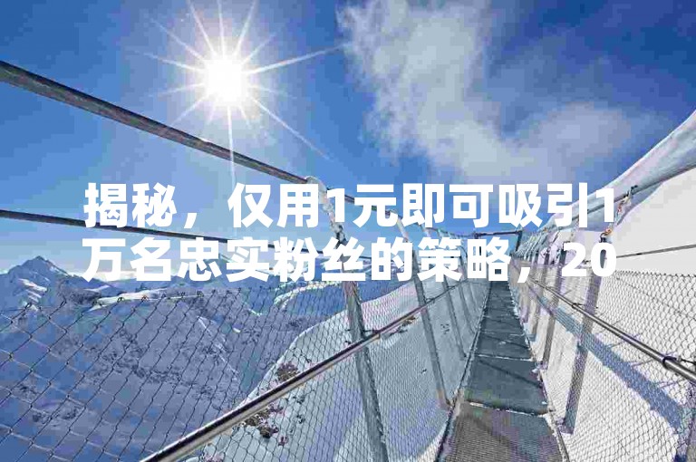 揭秘，仅用1元即可吸引1万名忠实粉丝的策略，2025年必备技巧！
