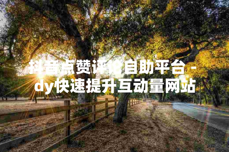 抖音点赞评论自助平台 - dy快速提升互动量网站