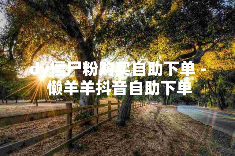 dy僵尸粉购买自助下单 - 懒羊羊抖音自助下单