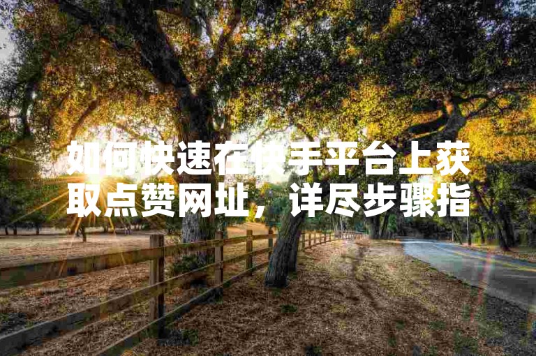 如何快速在快手平台上获取点赞网址，详尽步骤指南？