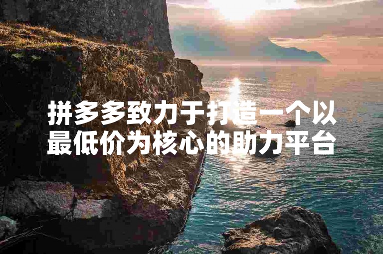 拼多多致力于打造一个以最低价为核心的助力平台，并规划其未来蓝图直至2025年。