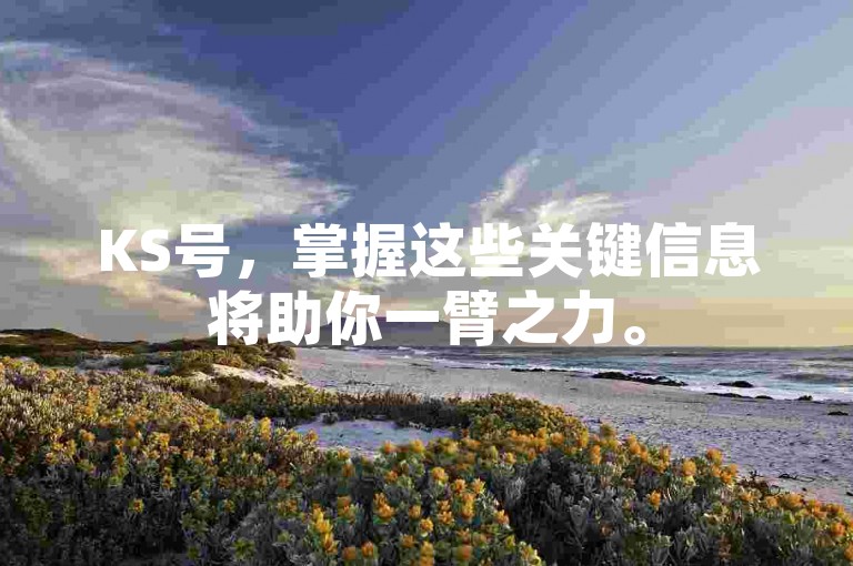 KS号，掌握这些关键信息将助你一臂之力。