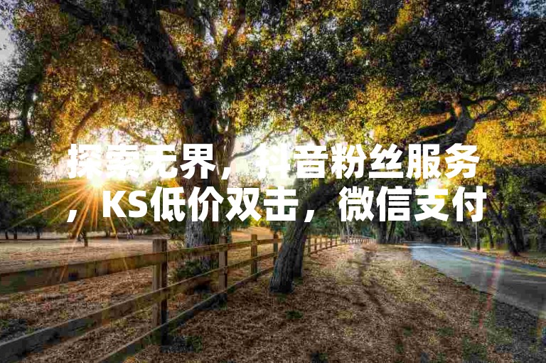 探索无界，抖音粉丝服务，KS低价双击，微信支付便捷，QQ业务全网最低。