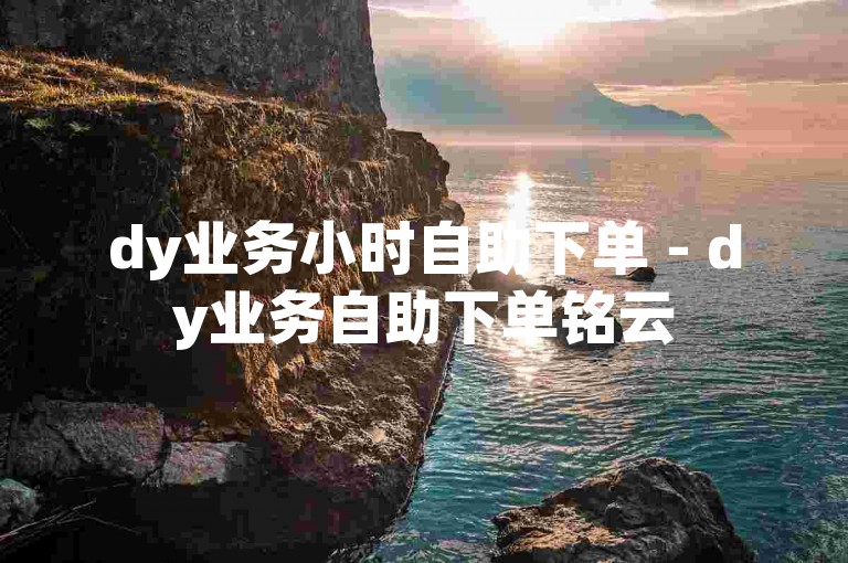 dy业务小时自助下单 - dy业务自助下单铭云