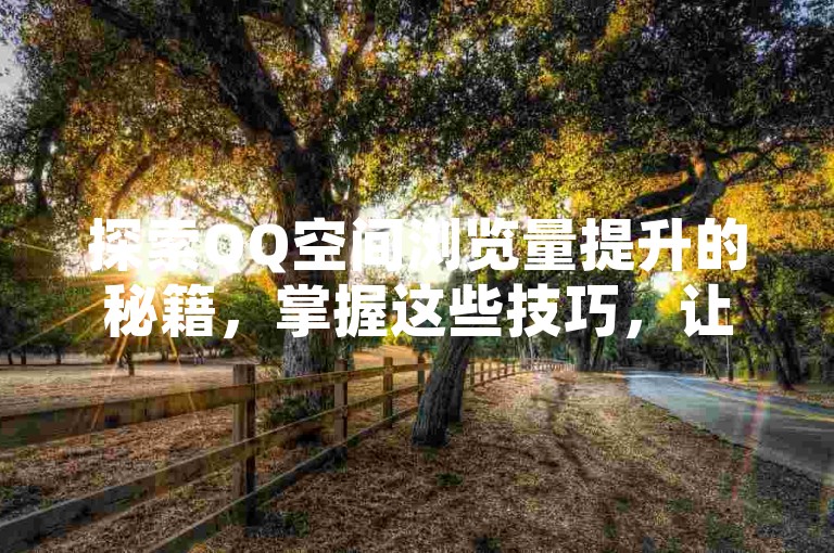 探索QQ空间浏览量提升的秘籍，掌握这些技巧，让你的空间人气飙升！2025年必备攻略。