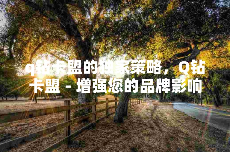 q钻卡盟的独家策略，Q钻卡盟 - 增强您的品牌影响力！2024必备技巧。