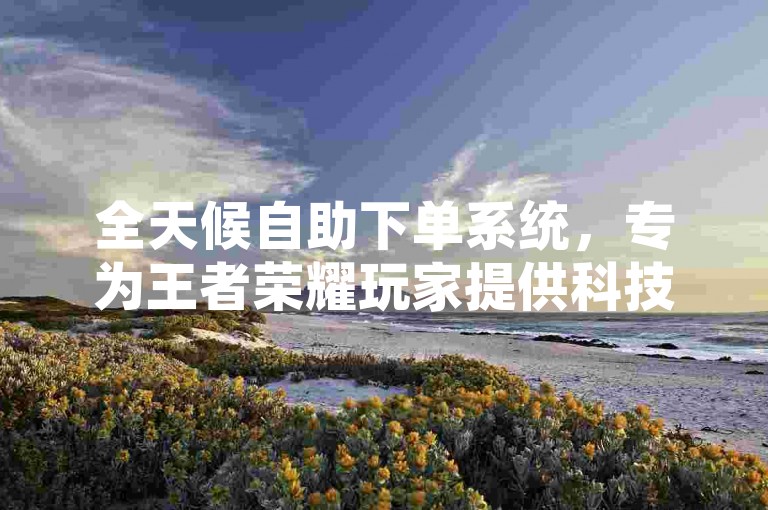 全天候自助下单系统，专为王者荣耀玩家提供科技辅助购买服务。