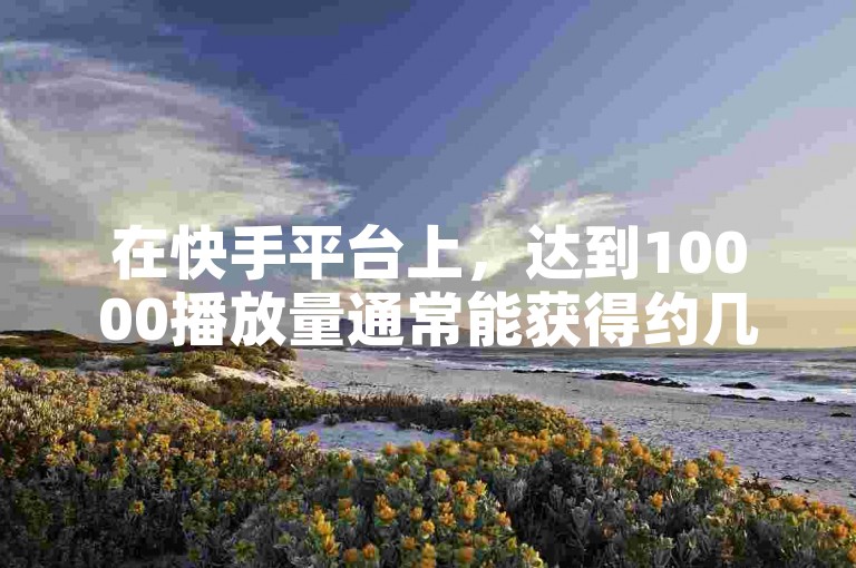 在快手平台上，达到10000播放量通常能获得约几十元到几百元不等的收入，具体金额取决于多种因素。