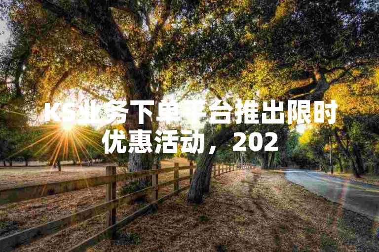 KS业务下单平台推出限时优惠活动，2025年必备技能等你来掌握！
