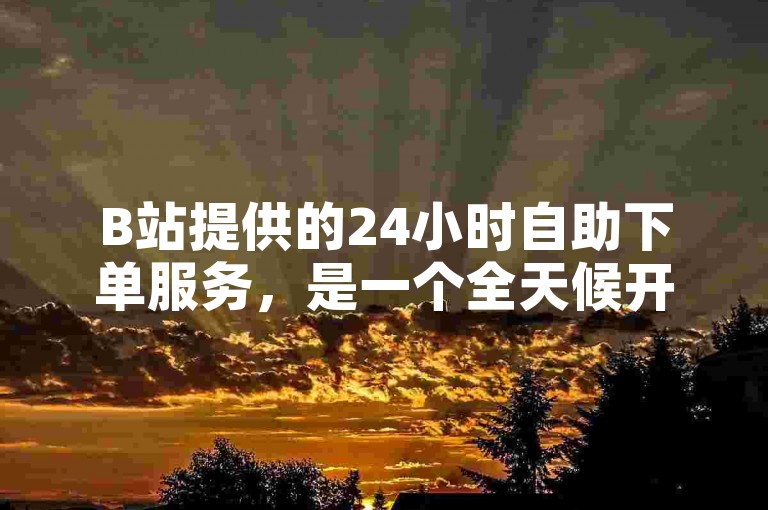 B站提供的24小时自助下单服务，是一个全天候开放的业务平台。