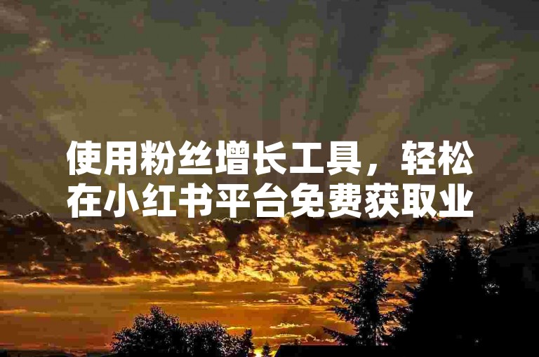 使用粉丝增长工具，轻松在小红书平台免费获取业务订单。