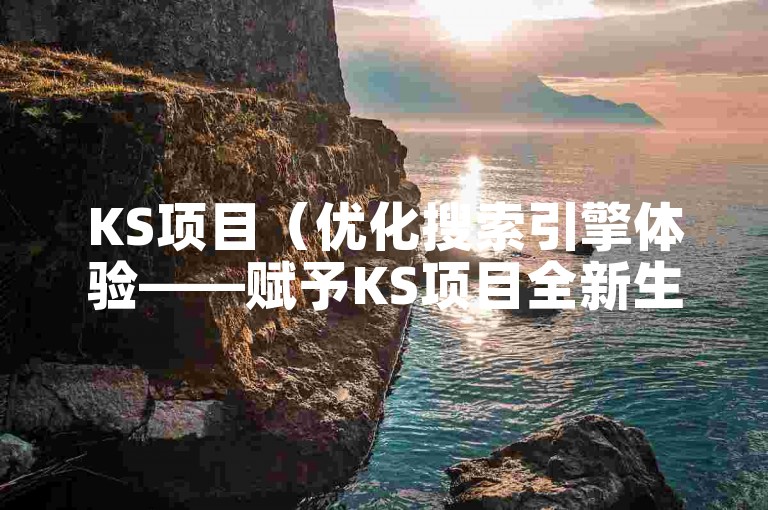 KS项目（优化搜索引擎体验——赋予KS项目全新生命力！）