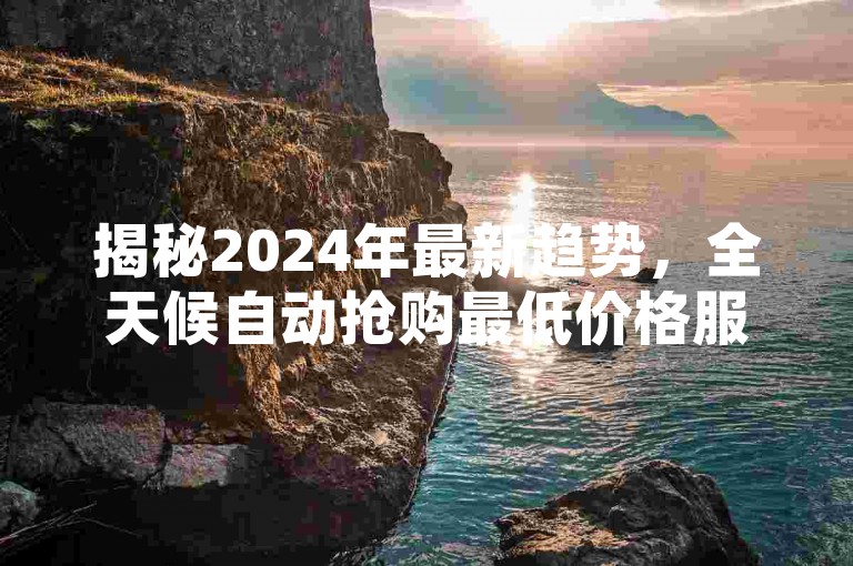揭秘2024年最新趋势，全天候自动抢购最低价格服务，让你尽享24小时不间断的低价购物体验！