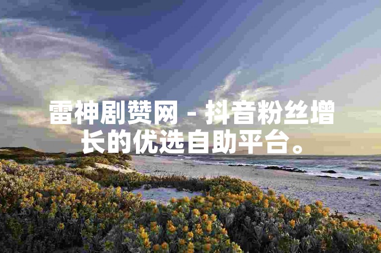 雷神剧赞网 - 抖音粉丝增长的优选自助平台。