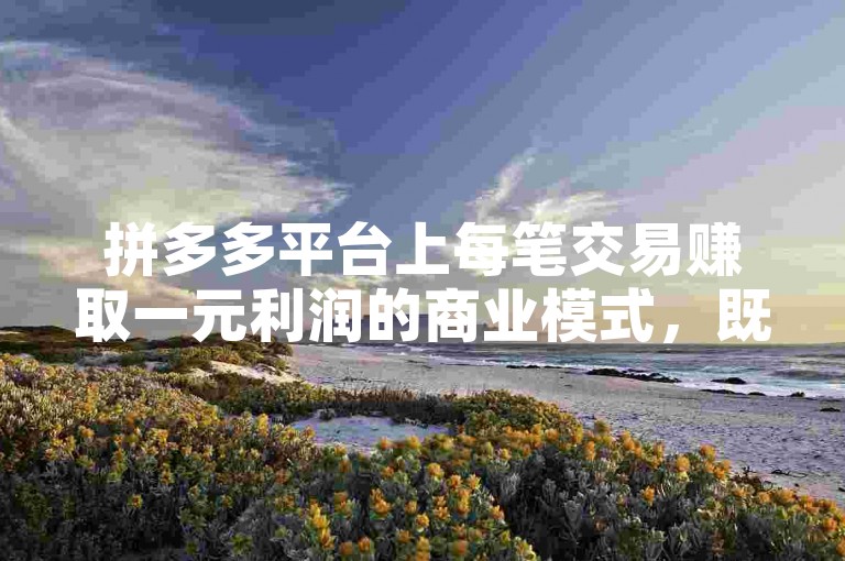 拼多多平台上每笔交易赚取一元利润的商业模式，既带来了吸引大量用户的机遇，也面临着激烈的市场竞争和成本控制的挑战。