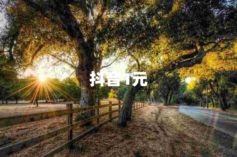 抖音1元500播放 - 抖音视频播放量在线自助下单