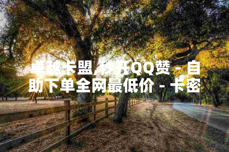 卓越卡盟,秒开QQ赞 - 自助下单全网最低价 - 卡密供应平台