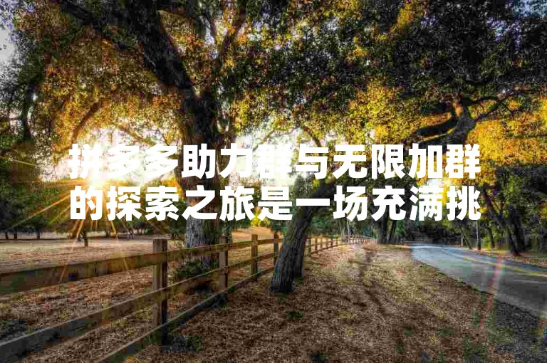 拼多多助力群与无限加群的探索之旅是一场充满挑战和机遇的冒险。