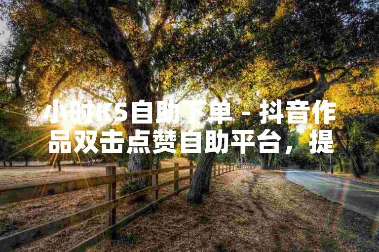 小时KS自助下单 - 抖音作品双击点赞自助平台，提供便捷的服务体验。