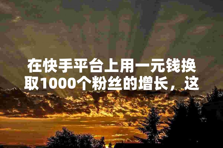 在快手平台上用一元钱换取1000个粉丝的增长，这种说法听起来颇具吸引力，但是否真实有效，值得我们深入探究其背后的真相。