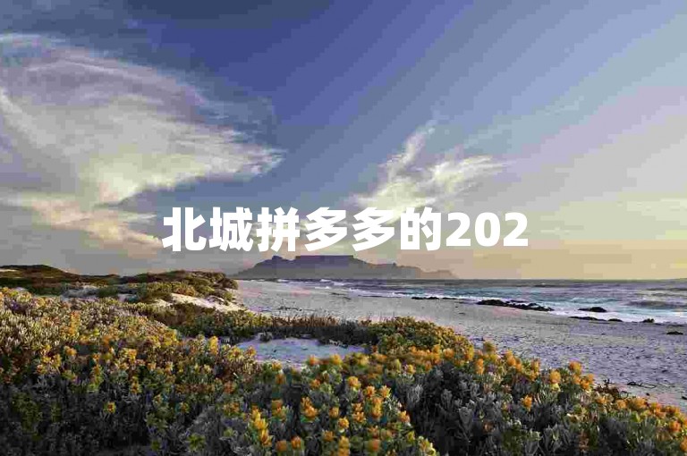 北城拼多多的2025多多助力群正成为越来越多用户互助砍价、分享优惠的新阵地。