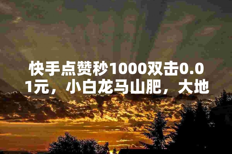 快手点赞秒1000双击0.01元，小白龙马山肥，大地房产装修。