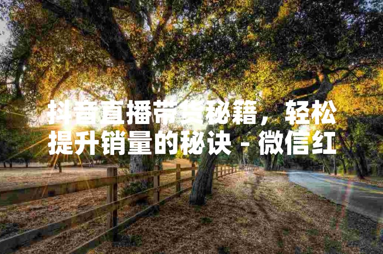 抖音直播带货秘籍，轻松提升销量的秘诀 - 微信红包群发软件最新破解版下载 - 微博热门话题制造者，让你的话题迅速升温