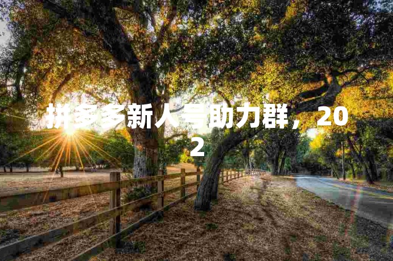 拼多多新人号助力群，2025年提现互助群火热招募中！