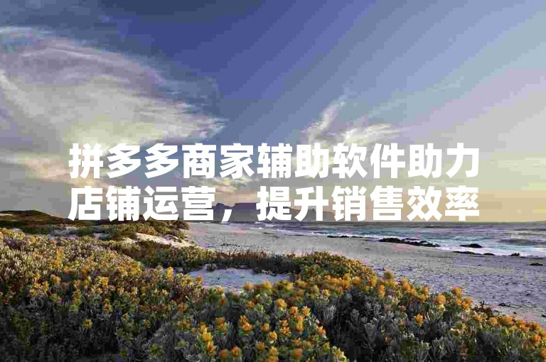 拼多多商家辅助软件助力店铺运营，提升销售效率。